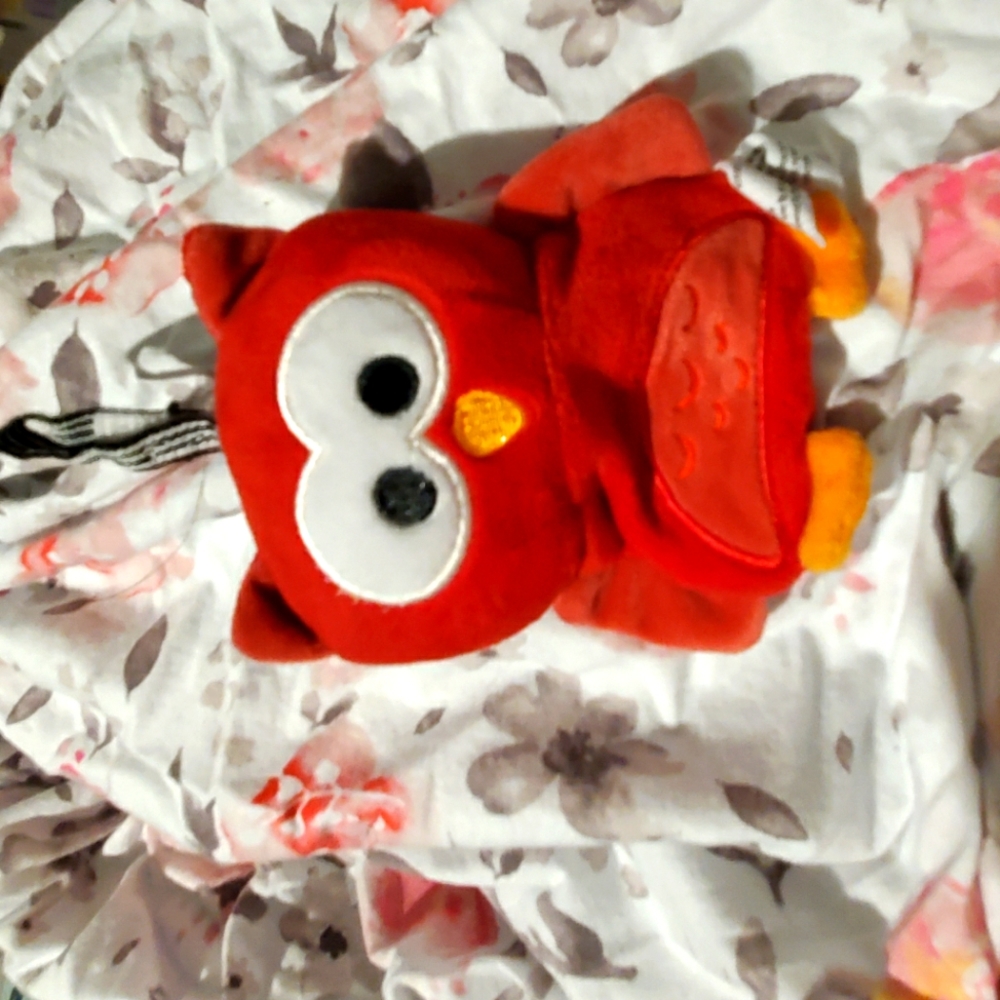 Owl Pacifier holder